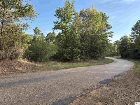 Vacant Land For Sale - 000 Dozier Road<br/> Union County, Farmerville, LA 71241