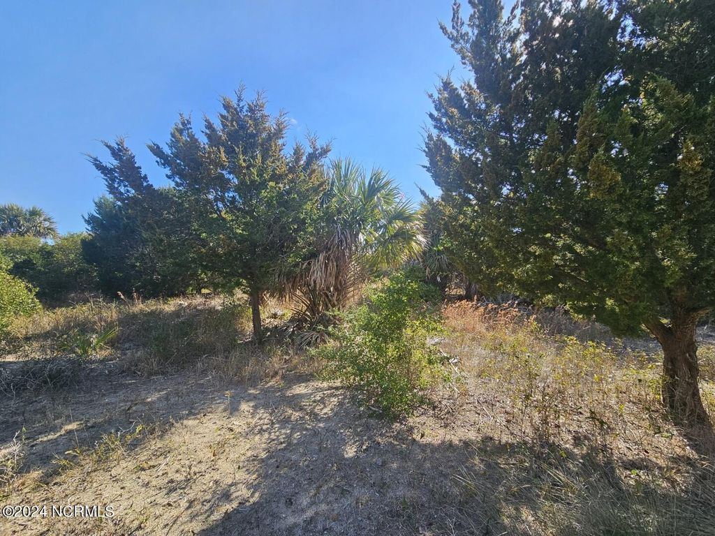 Photo of 22 Black Skimmer Trail, Bald Head Island, NC 28461 (MLS # 100430509)