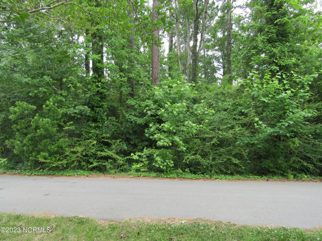Photo of 8 Quail Drive, Plymouth, NC 27962 (MLS # 100373361)