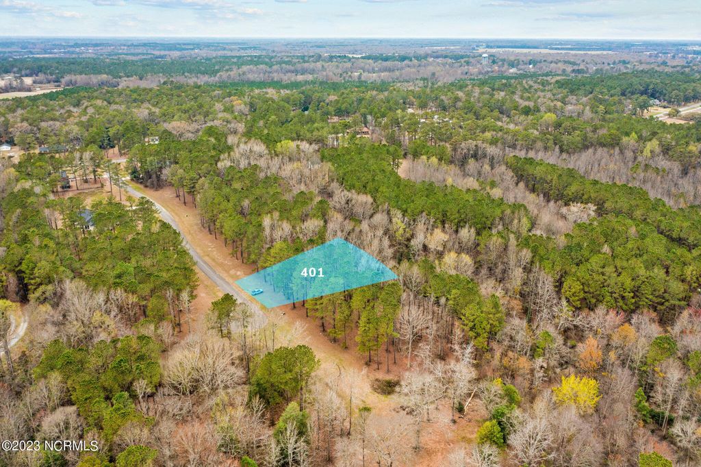 Photo of 401 Anna Lane, Snow Hill, NC 28580 (MLS # 100374422)