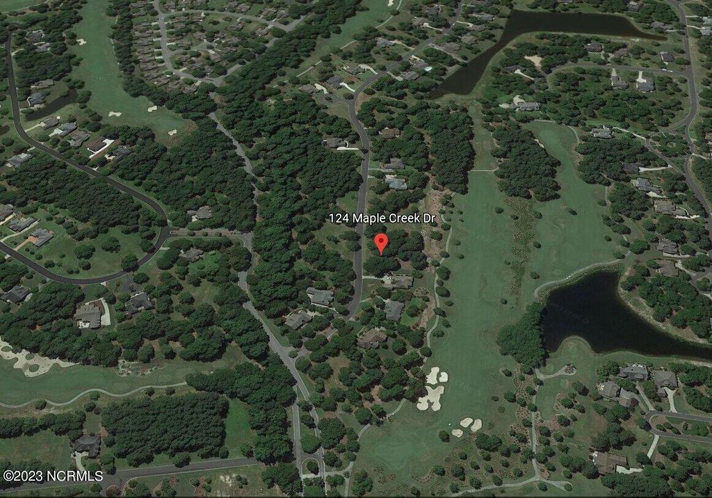 Photo of 124 Maple Creek Drive, Wallace, NC 28466 (MLS # 100368069)