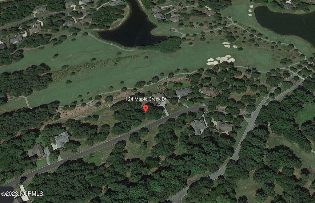 Photo of 124 Maple Creek Drive, Wallace, NC 28466 (MLS # 100368069)