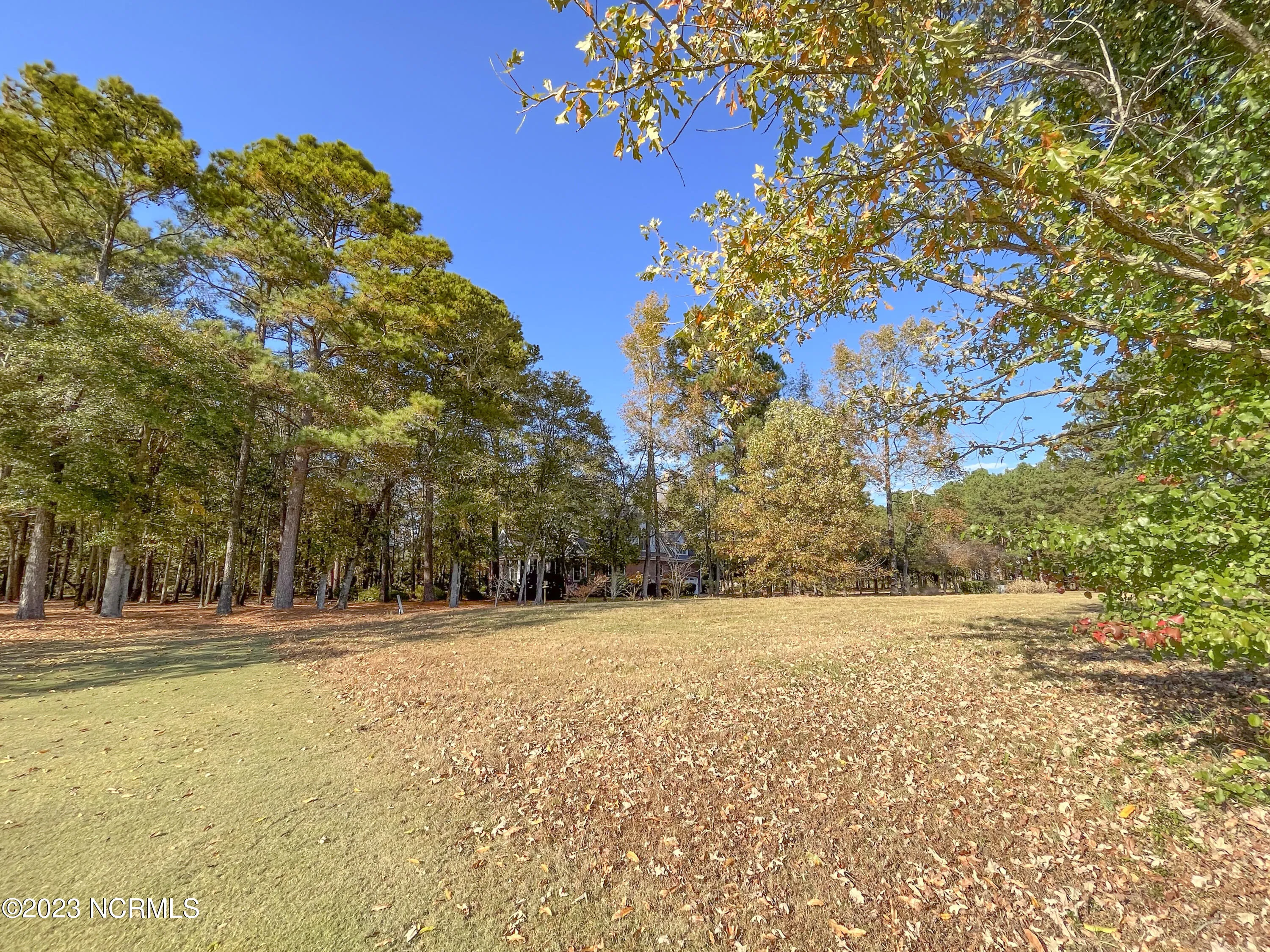 Wallace, North Carolina 28466, United States, ,Land,Pending,74705