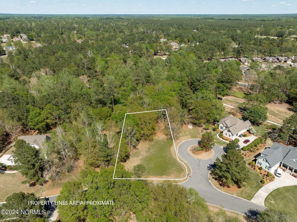 Photo of 167 Maple Creek Drive, Wallace, NC 28466 (MLS # 100437841)
