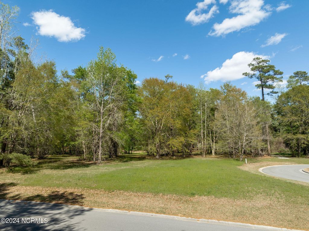 Photo of 167 Maple Creek Drive, Wallace, NC 28466 (MLS # 100437841)