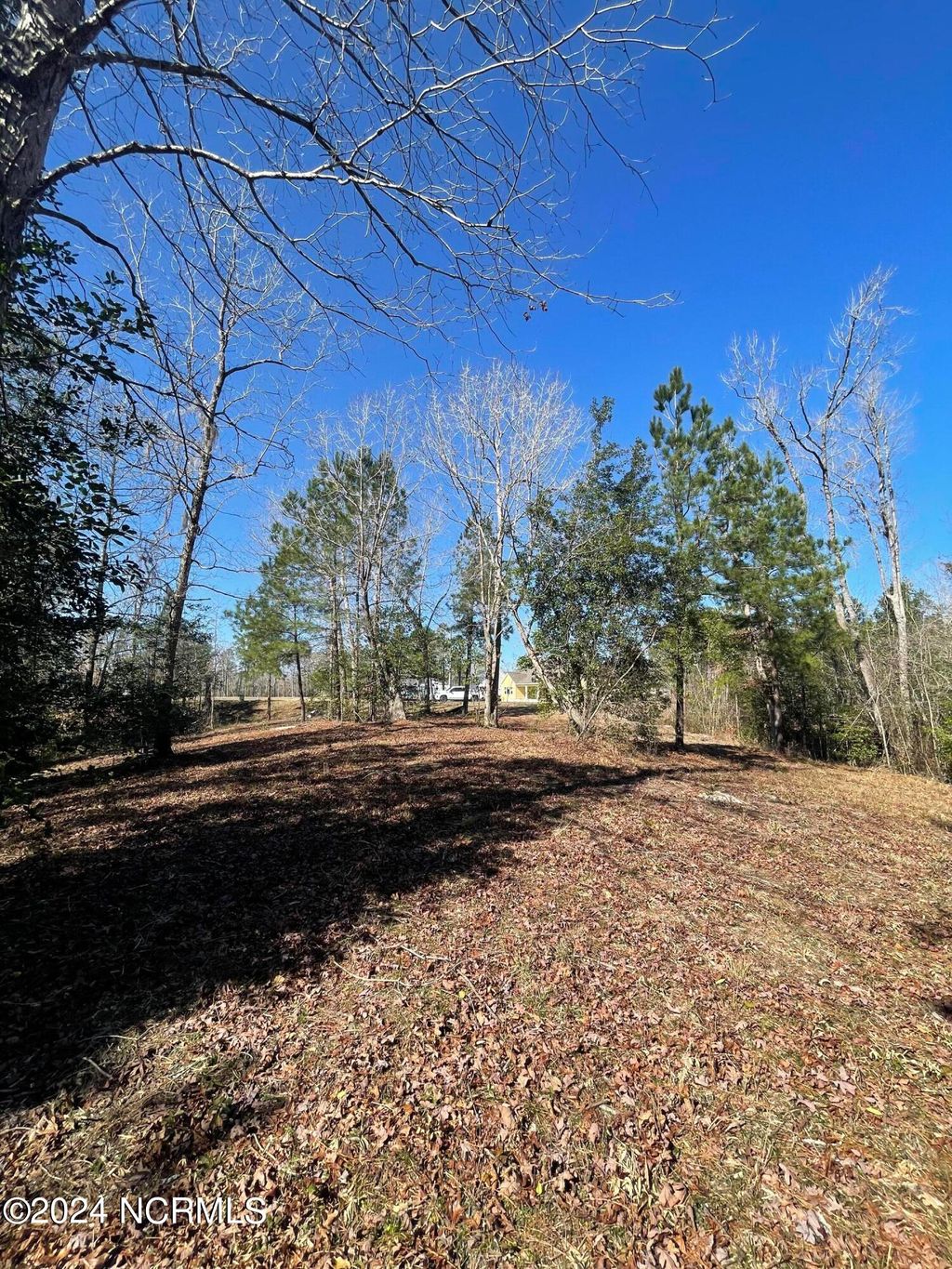 Photo of 9039 River Glenn Loop NE, Leland, NC 28451 (MLS # 100389411)