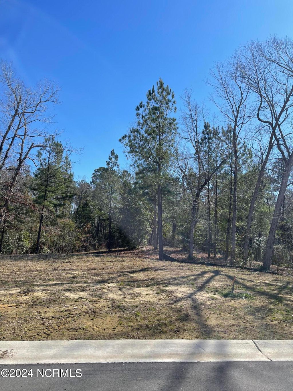 Photo of 9039 River Glenn Loop NE, Leland, NC 28451 (MLS # 100389411)