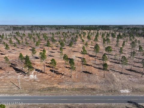 Farm in Maxton NC Tbd Clark Road.jpg