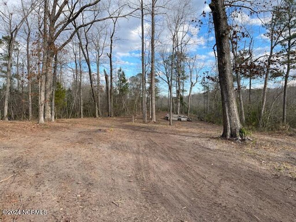 Photo of 111 Barry Lane, Jacksonville, NC 28540 (MLS # 100444039)