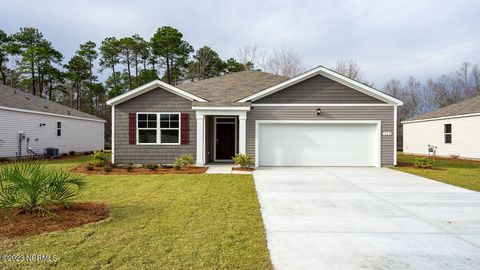 Single Family Residence in Shallotte NC 3854 Lady Bug Drive.jpg