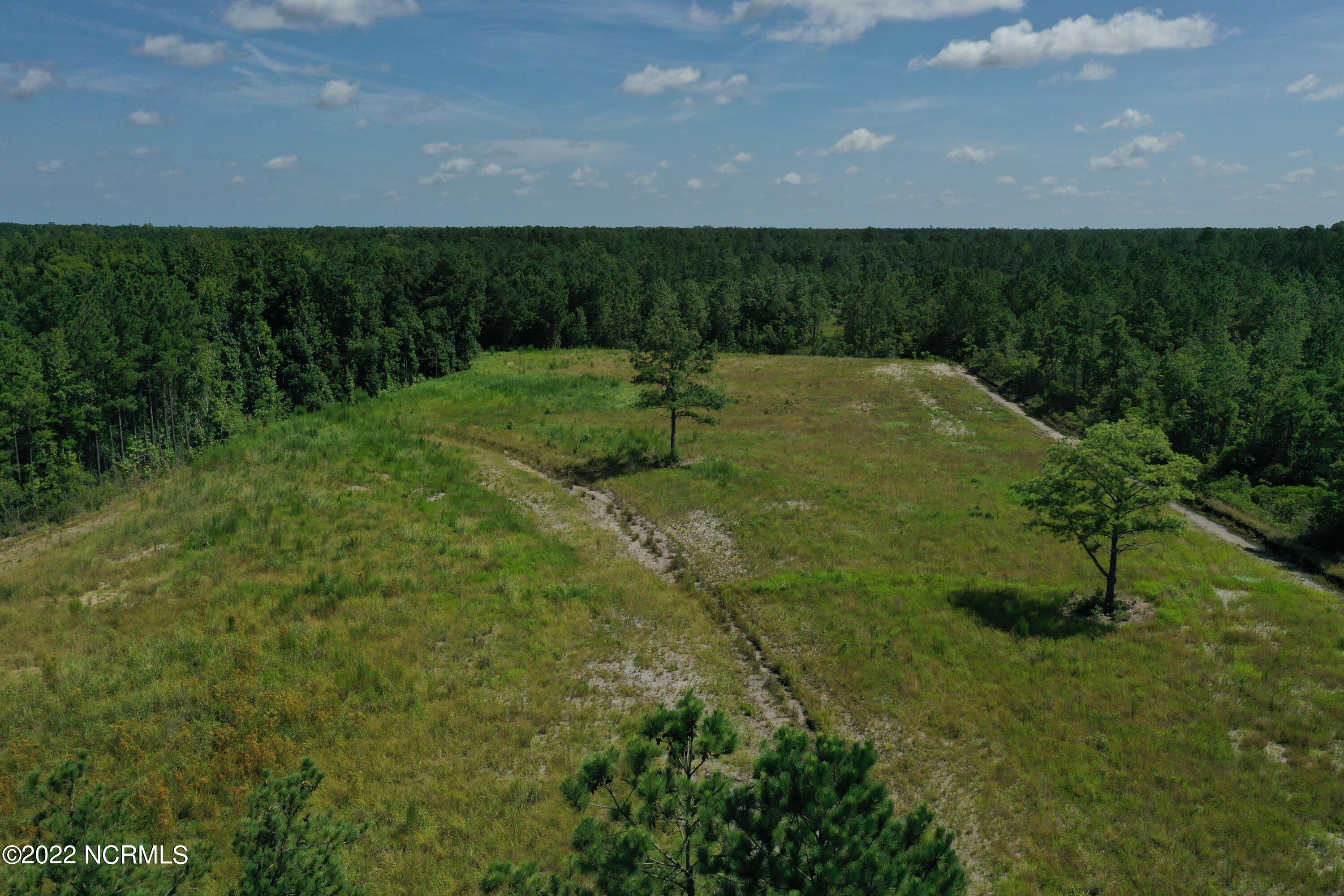 Hampstead, North Carolina 28443, United States, ,Land,Active,74554