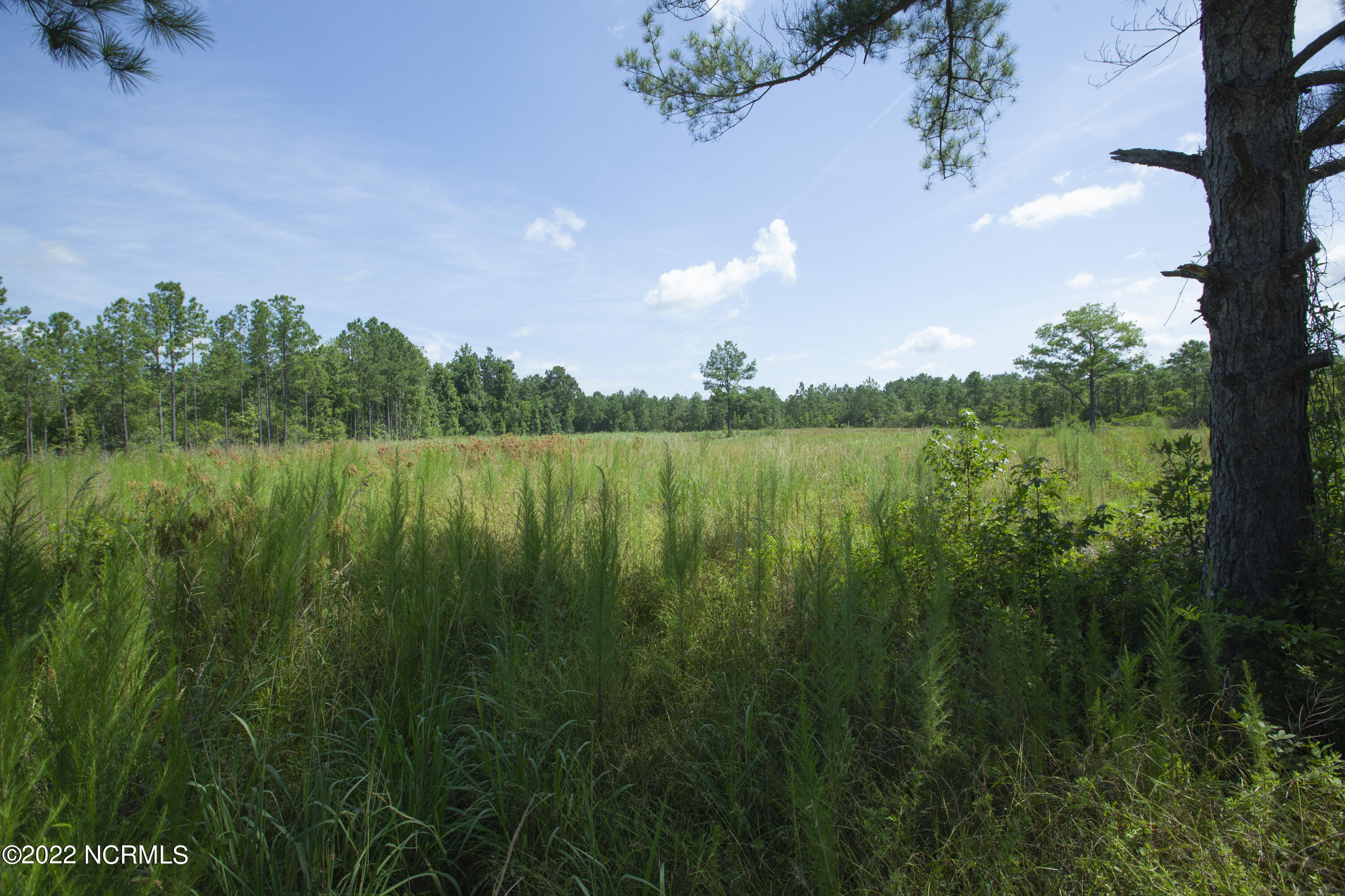 Hampstead, North Carolina 28443, United States, ,Land,Active,74554