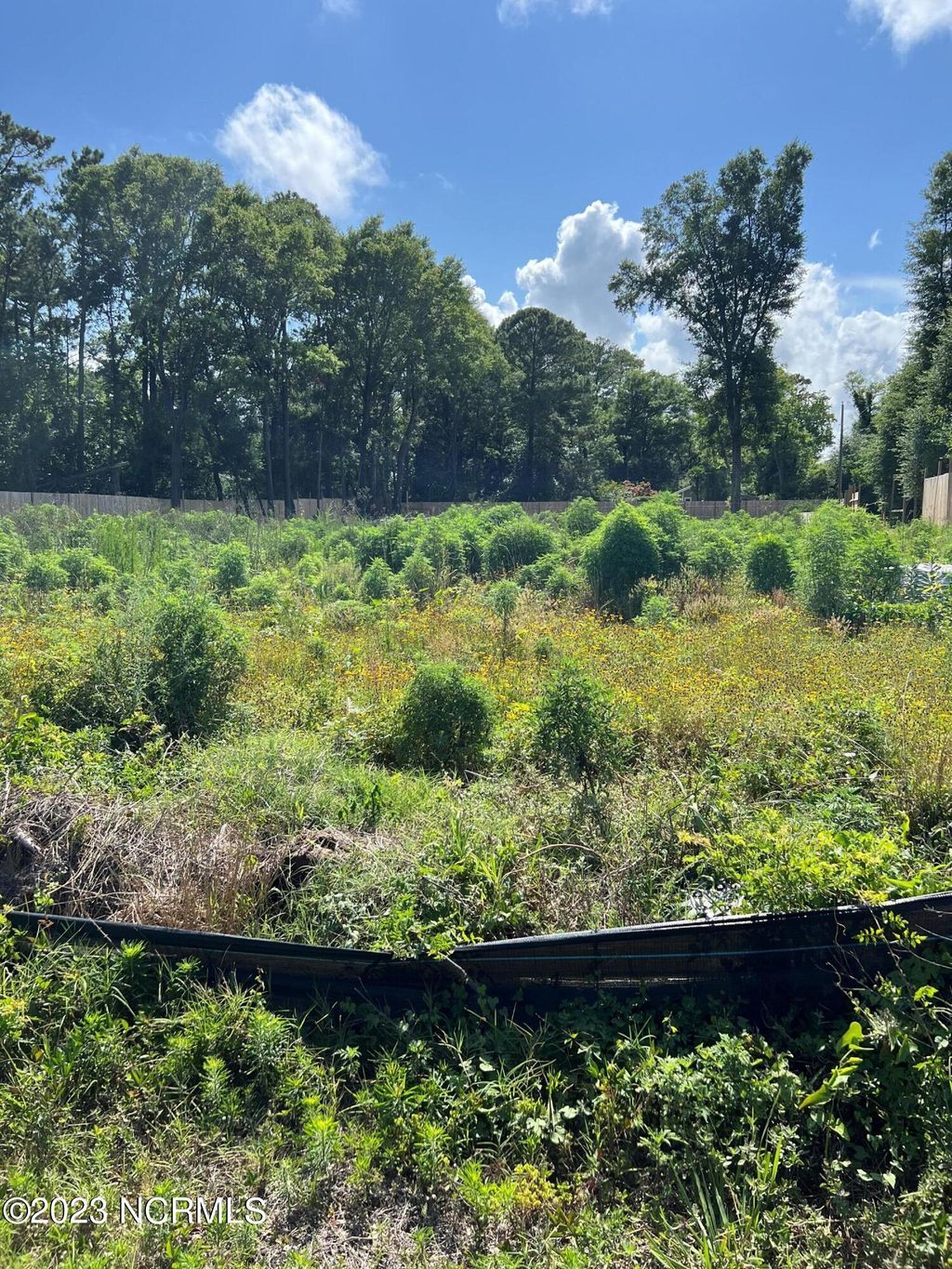 Photo of 7244825 Carolina Beach/Red Lighthouse Road, Wilmington, NC 28412 (MLS # 100391703)