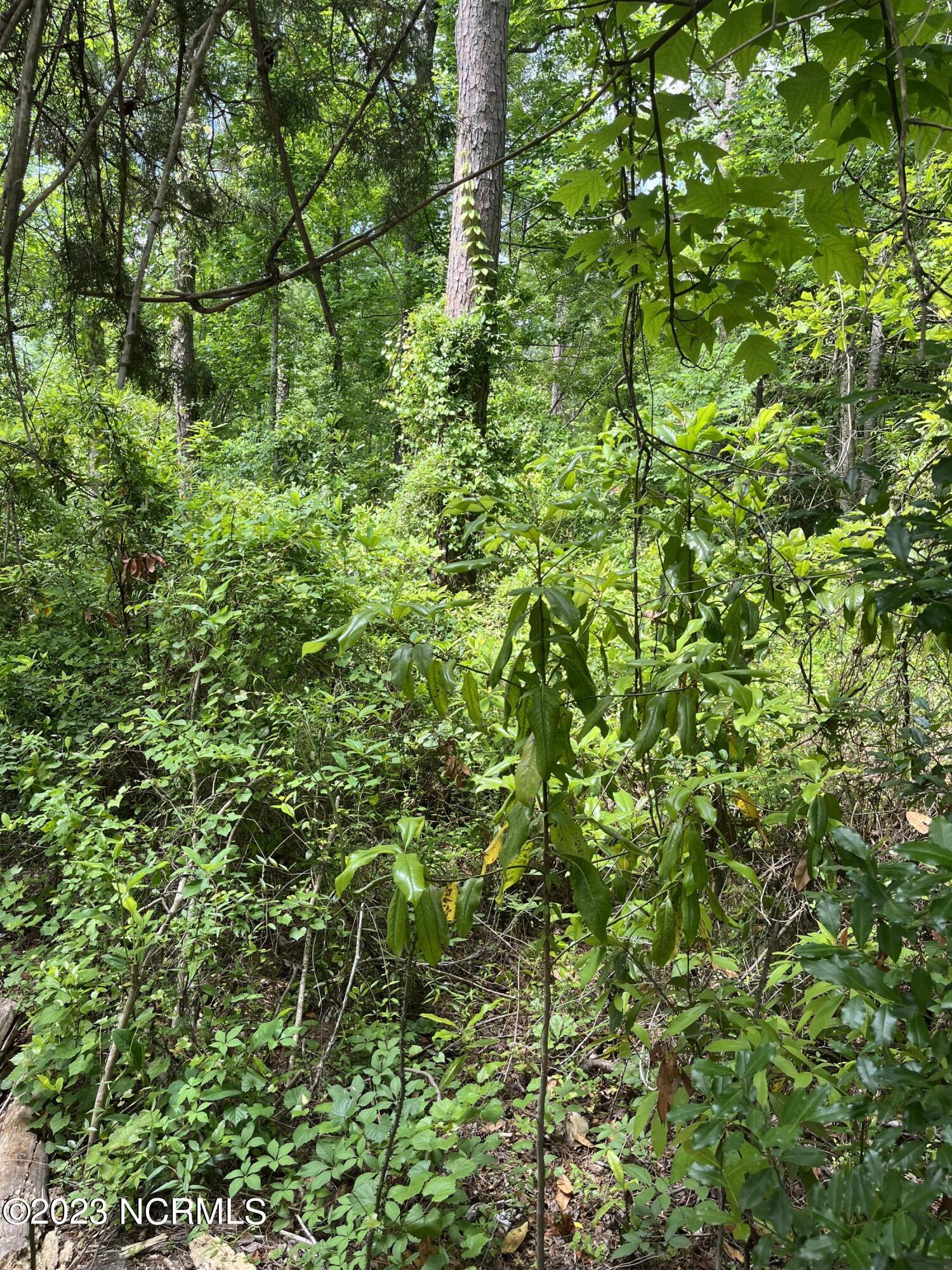 Hampstead, North Carolina 28443, United States, ,Land,Active,72867