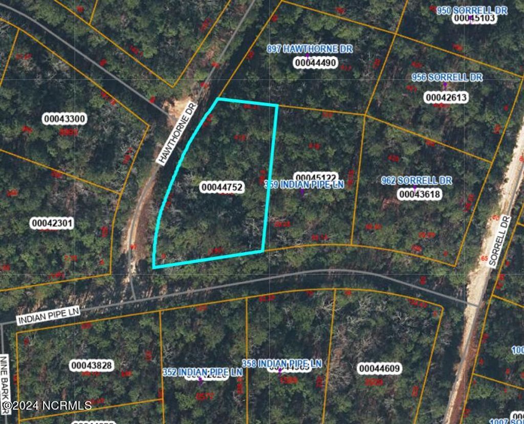 Photo of 353 Indian Pipe Lane, Vass, NC 28394 (MLS # 100437236)