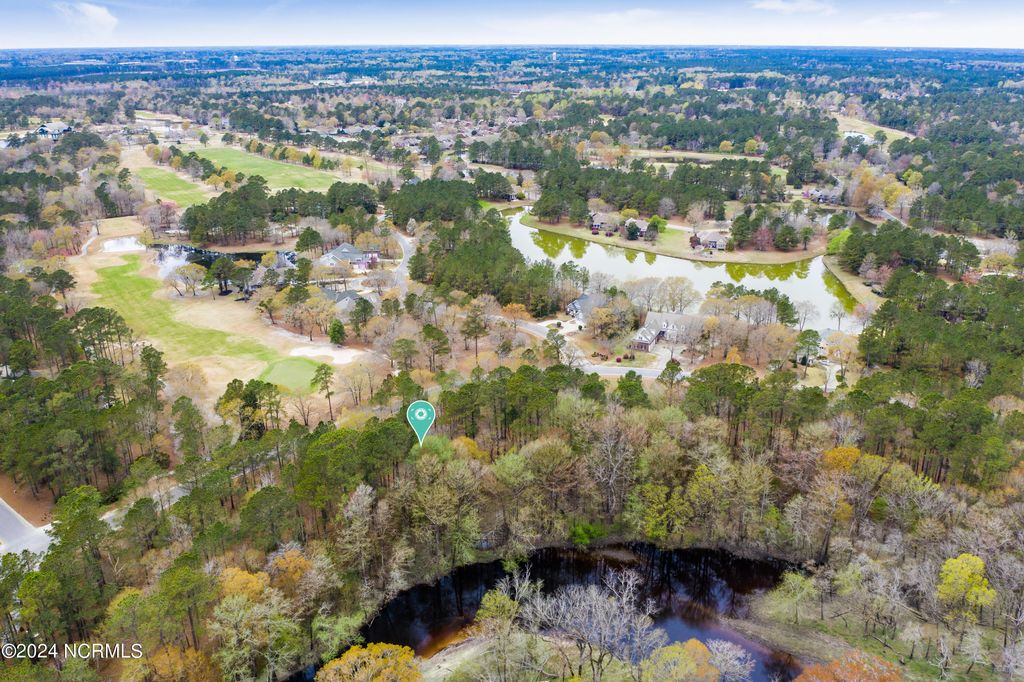 Photo of 153 River Woods Drive, Wallace, NC 28466 (MLS # 100433741)