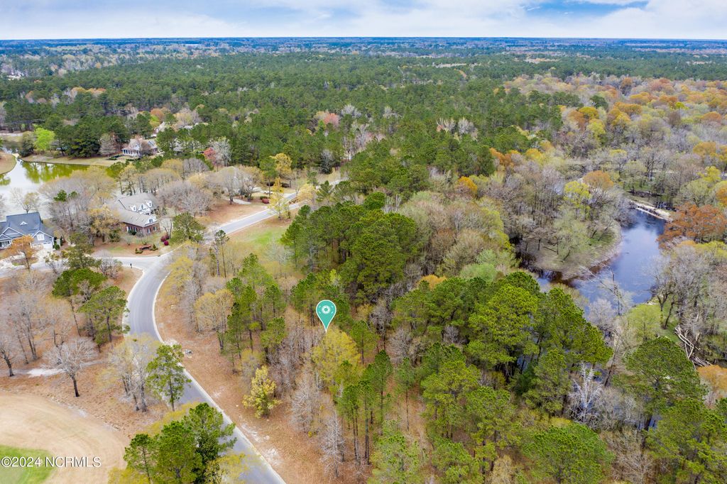 Photo of 153 River Woods Drive, Wallace, NC 28466 (MLS # 100433741)