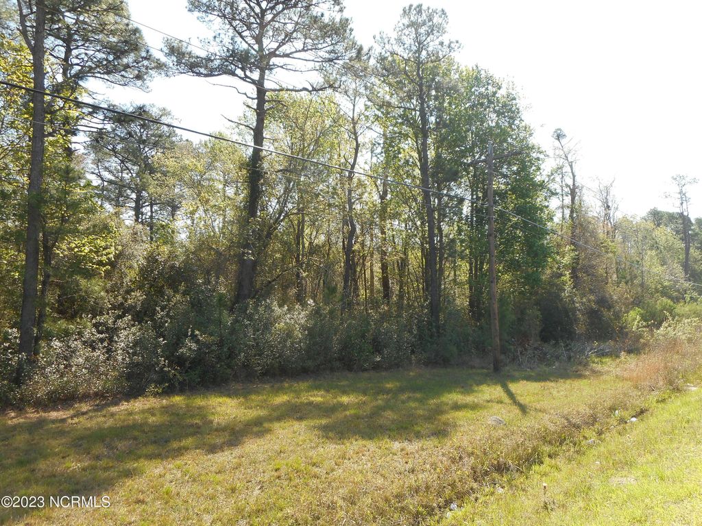 Photo of 0 Highway 70, Newport, NC 28570 (MLS # 100377588)