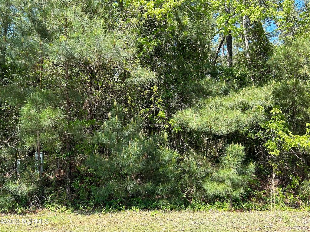 Photo of 10 Heritage Drive, Laurinburg, NC 28352 (MLS # 100378266)