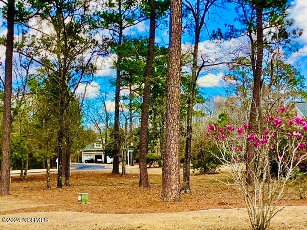 Photo for 426 Autumn Chase SE, Bolivia, NC 28422 (MLS # 100429475)