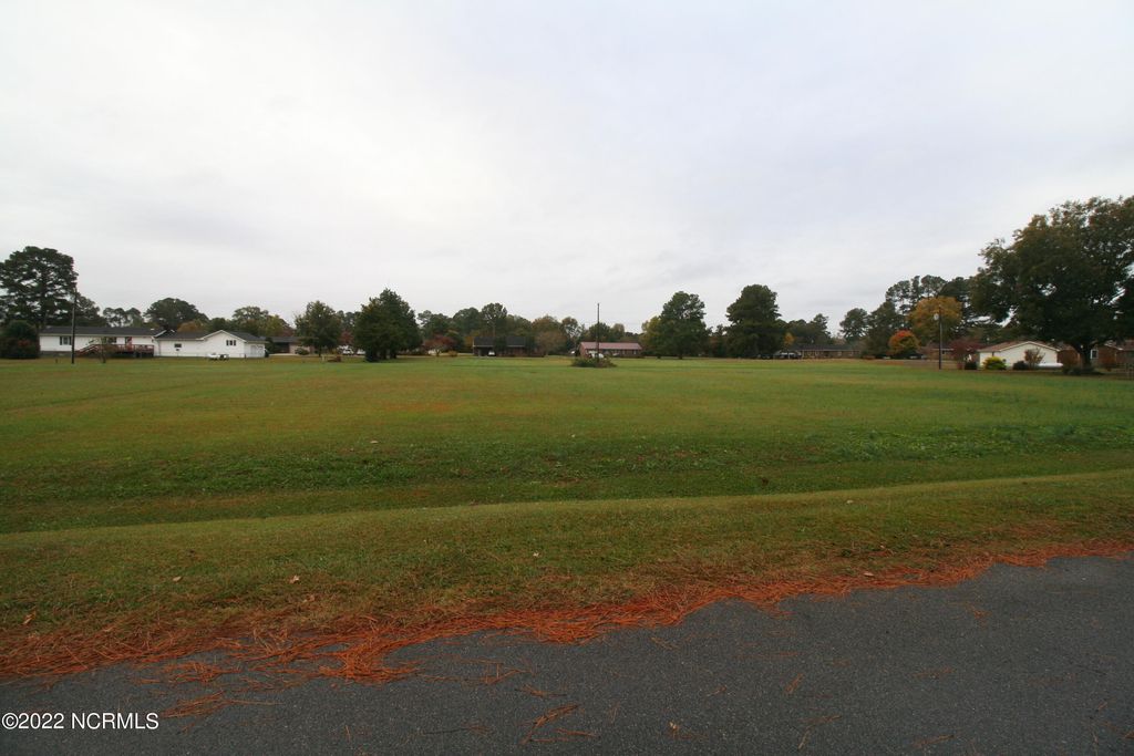 Photo of 99100 Ida Street, Plymouth, NC 27962 (MLS # 100356081)