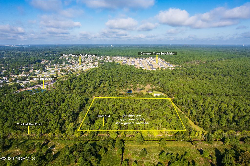 Photo of 184 Murrayville Road Ext, Wilmington, NC 28411 (MLS # 100364214)