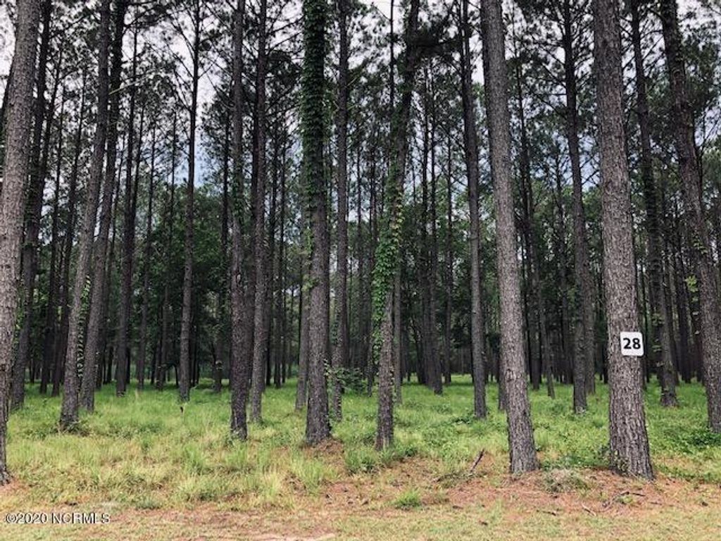 Photo of 48 Madison Avenue, Oriental, NC 28571 (MLS # 100351211)