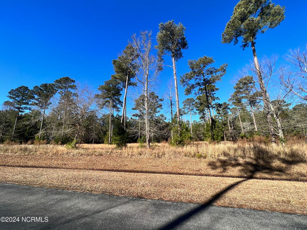 Photo of 63 Bailey Pointe, Belhaven, NC 27810 (MLS # 100424263)
