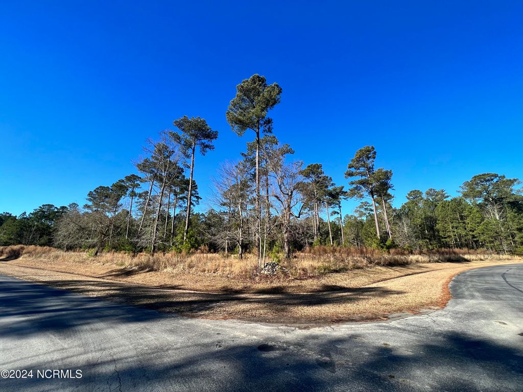 Photo of 63 Bailey Pointe, Belhaven, NC 27810 (MLS # 100424263)