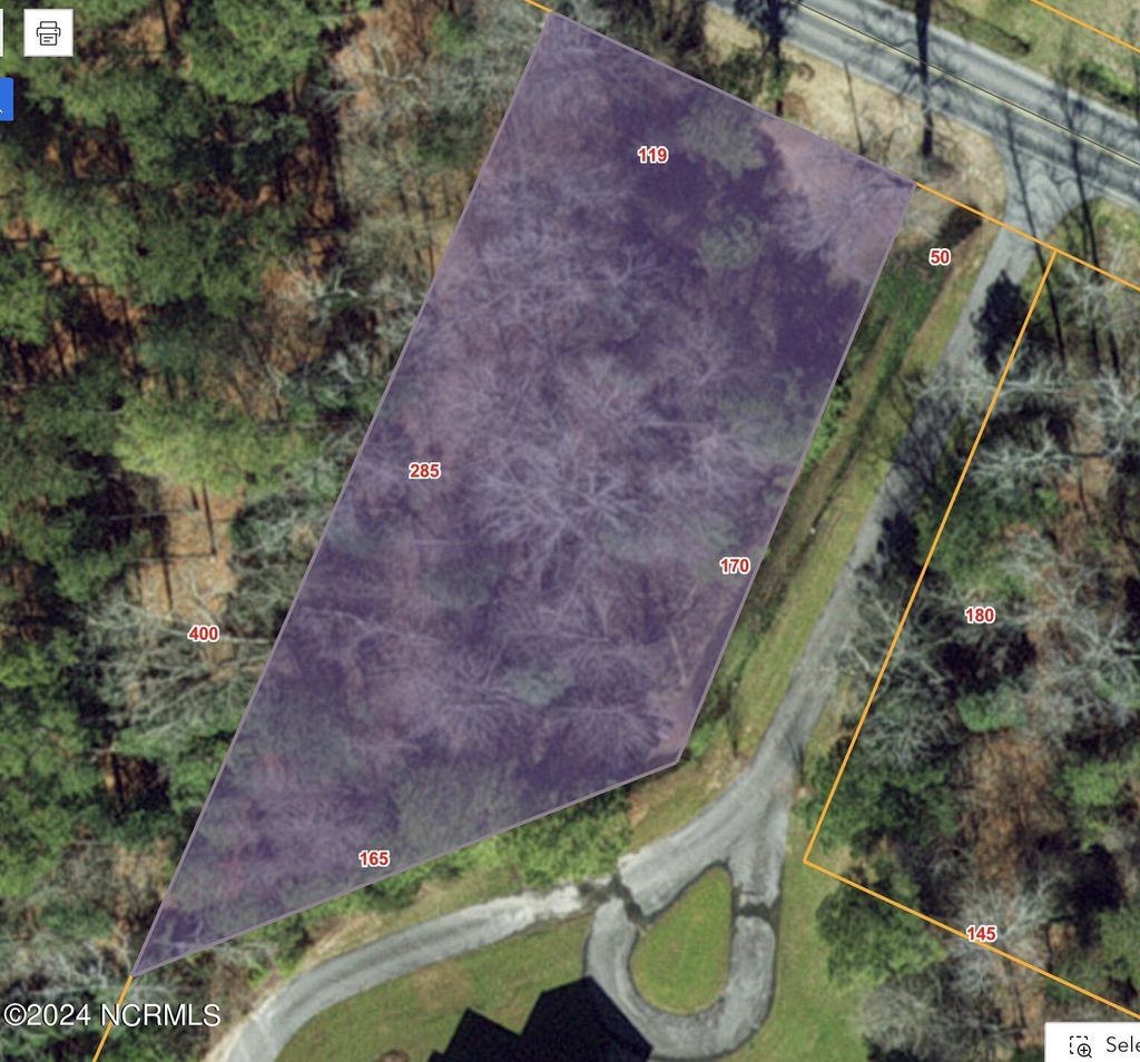 Photo of 1179 Buck Swamp Road, Pikeville, NC 27863 (MLS # 100436929)