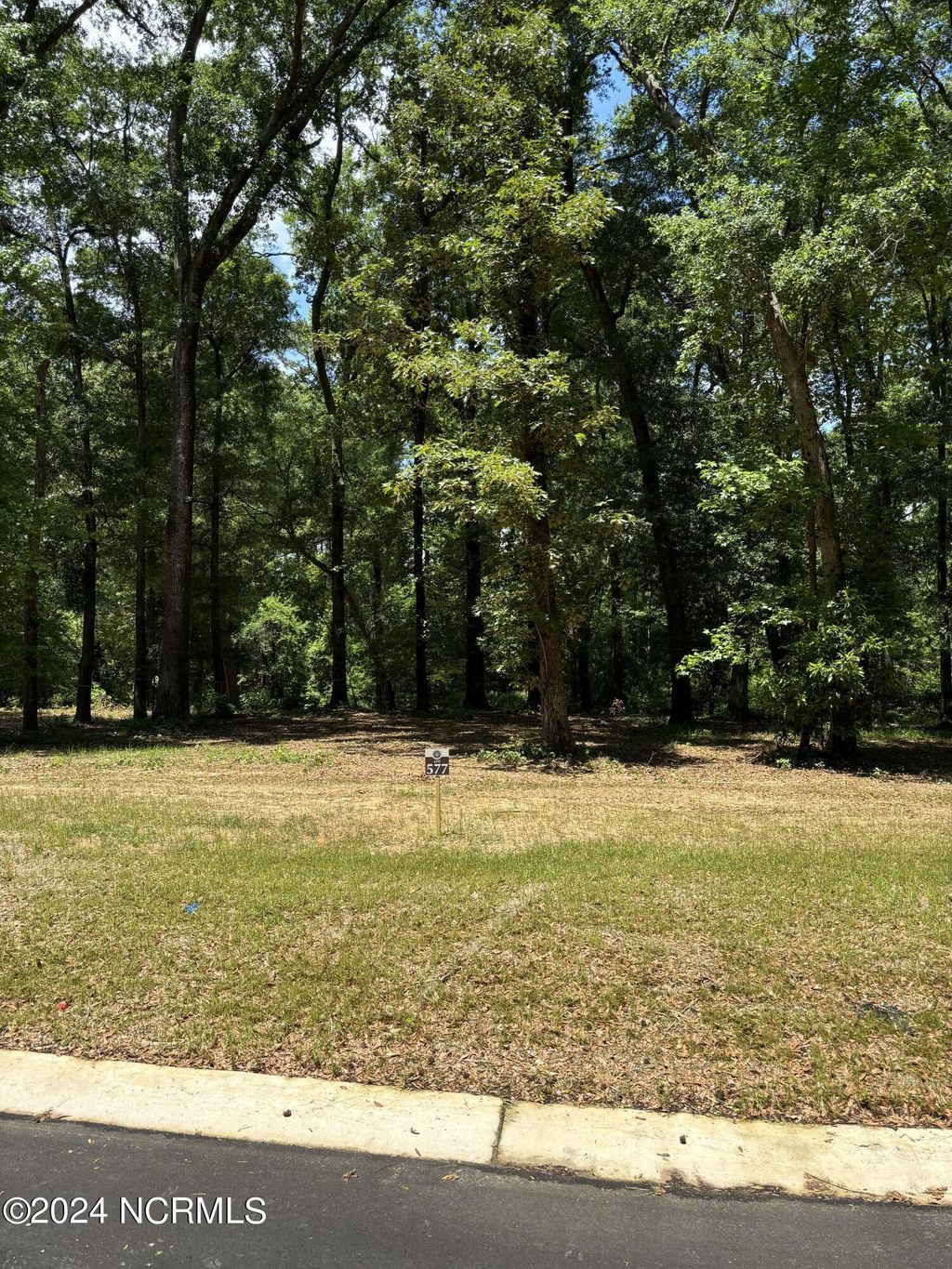 Photo of 409 Old Forest Drive, Castle Hayne, NC 28429 (MLS # 100444719)