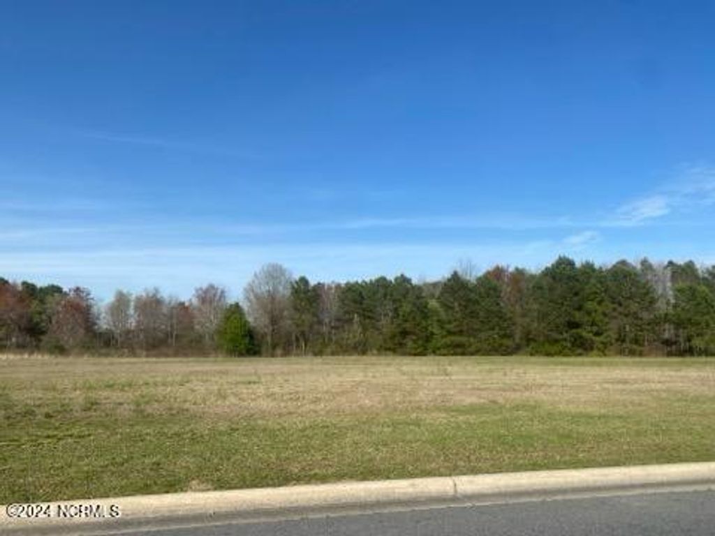 Photo of 0 Beacon Drive, Winterville, NC 28590 (MLS # 100436314)