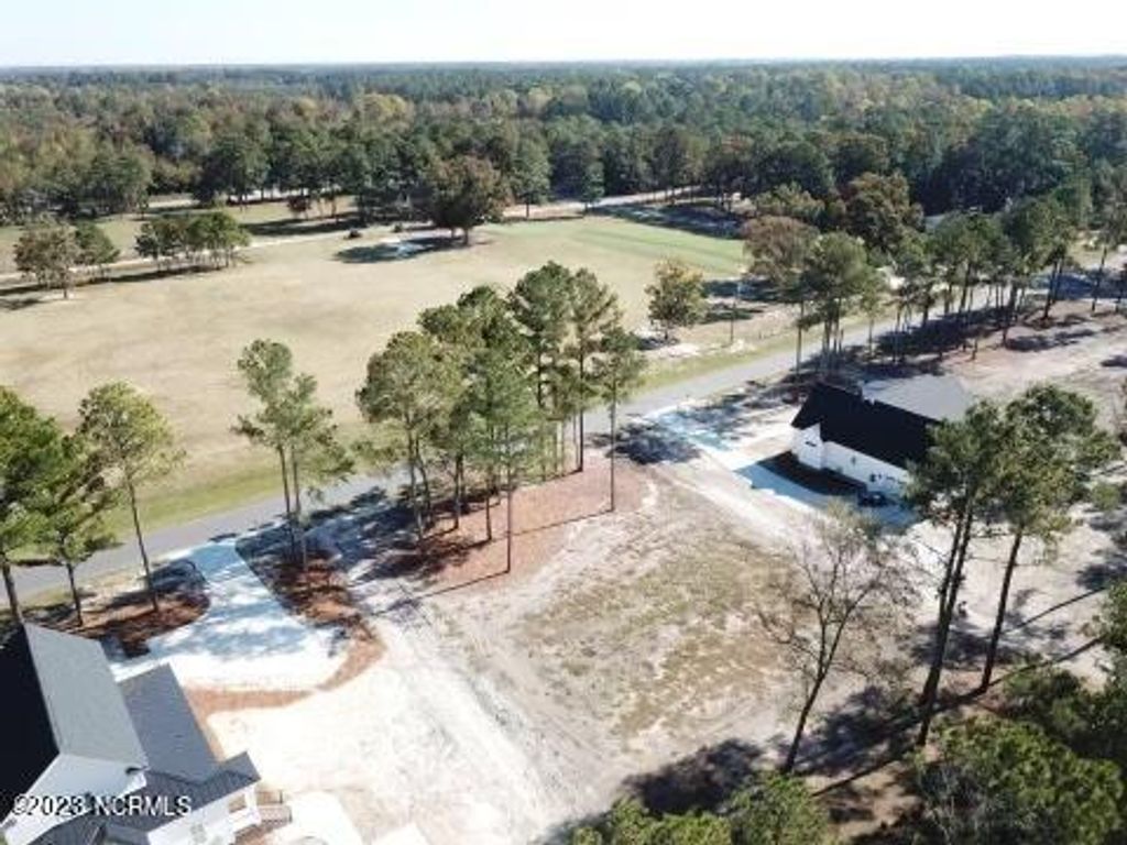 Photo of 37 Carlton Drive, Kenansville, NC 28349 (MLS # 100406916)