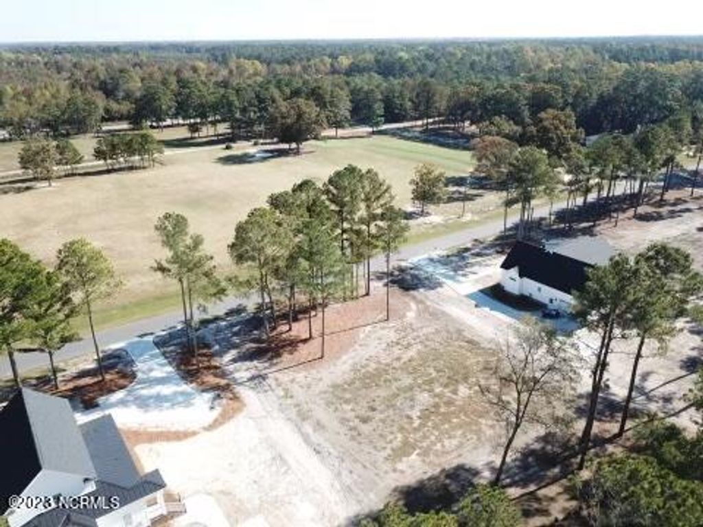Photo of 37 Carlton Drive, Kenansville, NC 28349 (MLS # 100406916)