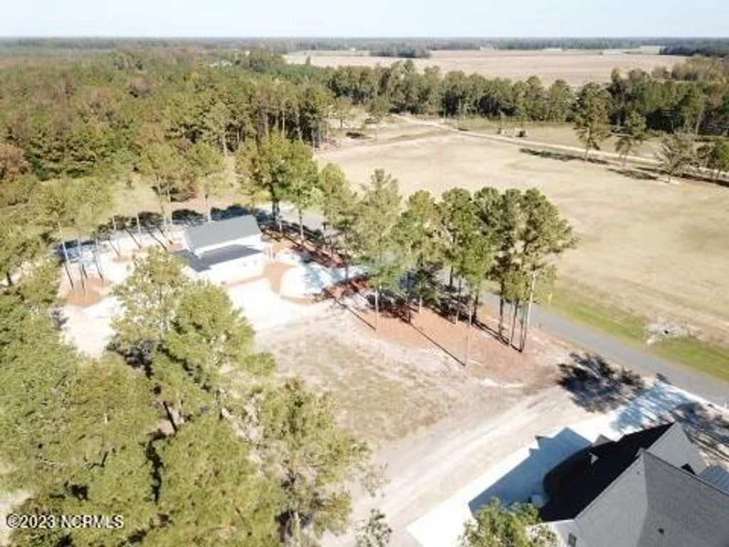 Photo of 37 Carlton Drive, Kenansville, NC 28349 (MLS # 100406916)