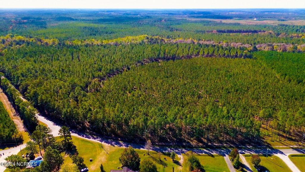 Photo of 0 Mt Misery Road NE, Leland, NC 28451 (MLS # 100429451)