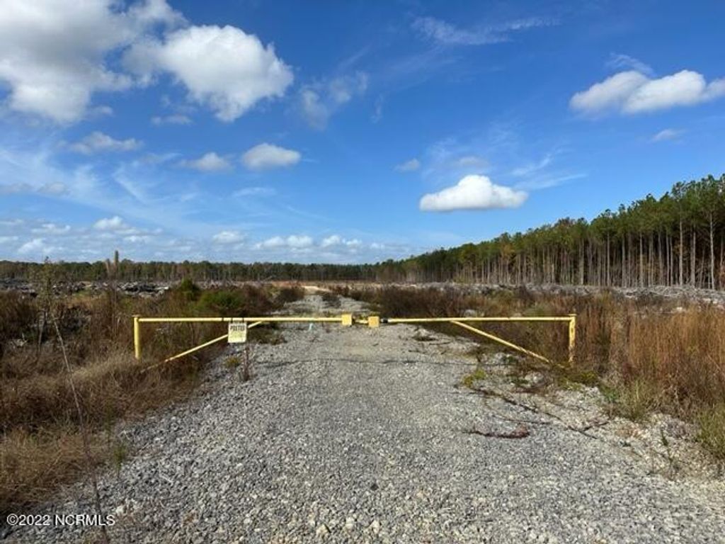 Photo of 0 Ahoskie Cofield Road, Ahoskie, NC 27910 (MLS # 100356607)