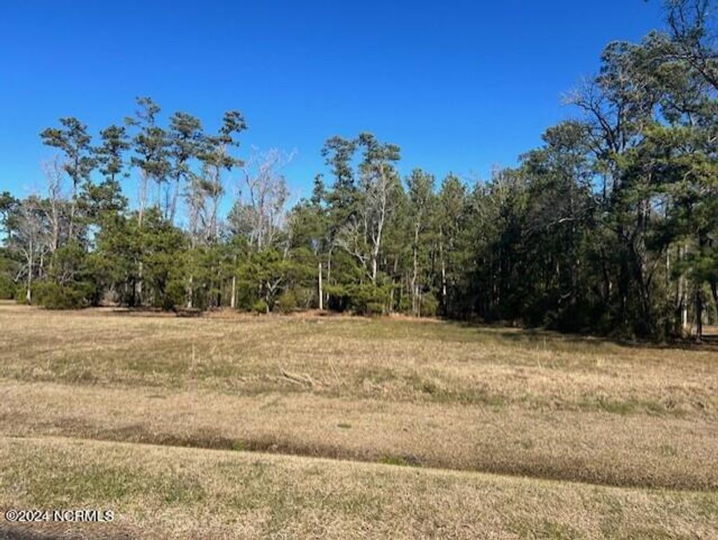 Photo of 203 E Dowry Creek, Belhaven, NC 27810 (MLS # 100423338)