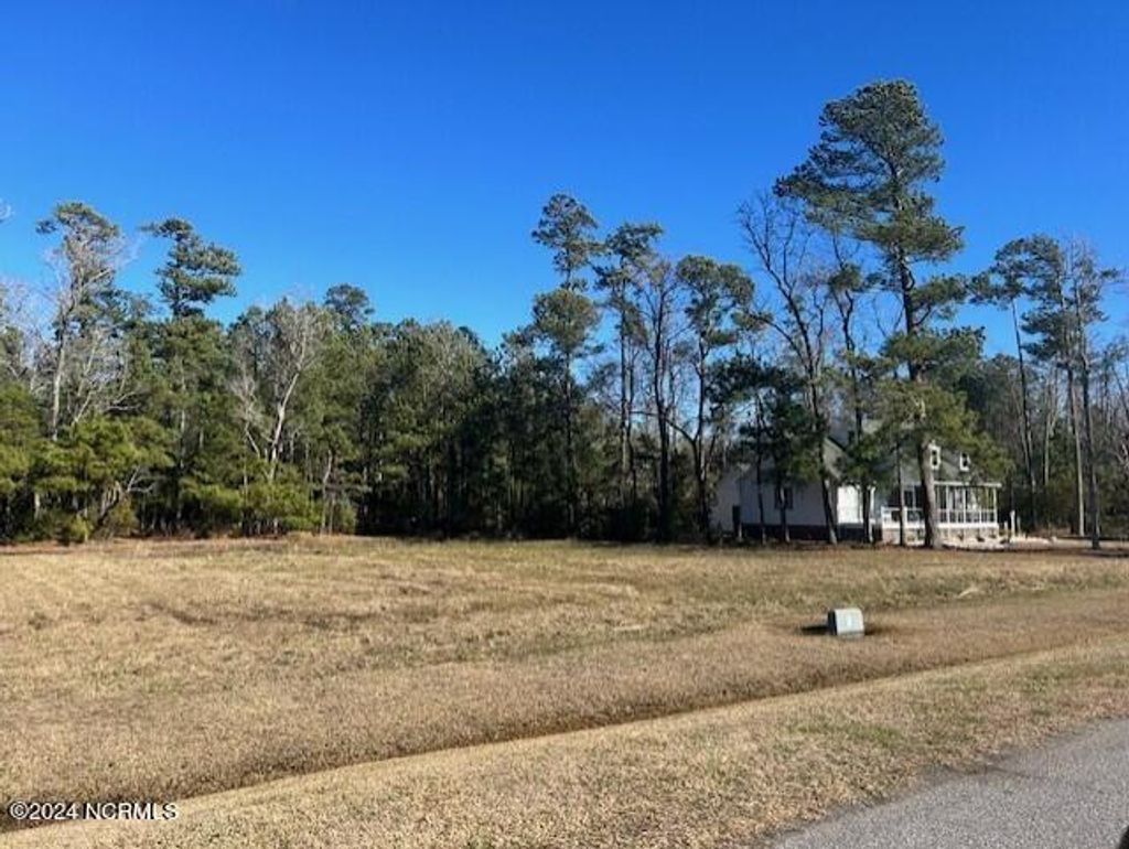 Photo of 203 E Dowry Creek, Belhaven, NC 27810 (MLS # 100423338)