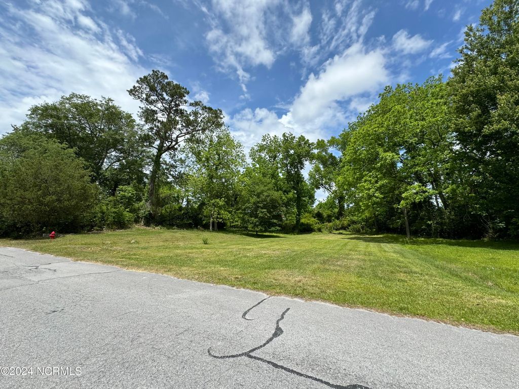 Photo of 121 Poplar Street, Jacksonville, NC 28540 (MLS # 100444493)