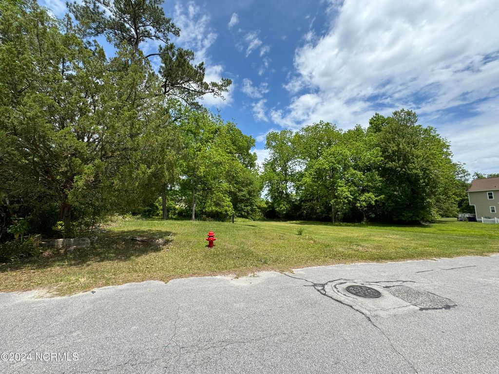 Photo of 121 Poplar Street, Jacksonville, NC 28540 (MLS # 100444493)