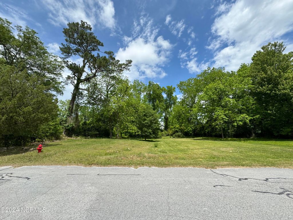 Photo of 121 Poplar Street, Jacksonville, NC 28540 (MLS # 100444493)