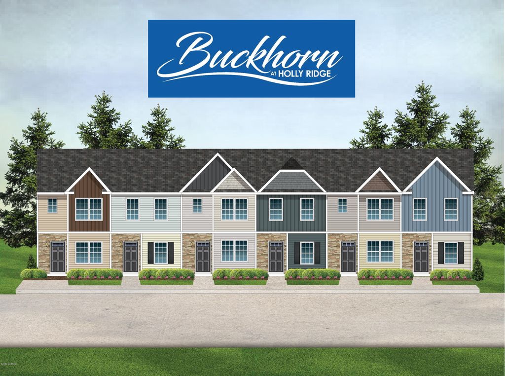 Photo for 126 Buckhorn Avenue, Holly Ridge, NC 28445 (MLS # 100224899)
