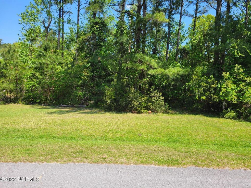 Photo of 306 Limbaugh Lane, Swansboro, NC 28584 (MLS # 100325225)