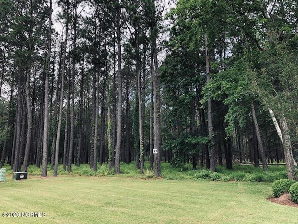 Photo of 28 Madison Avenue, Oriental, NC 28571 (MLS # 100351212)