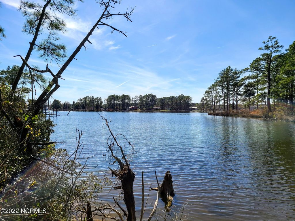 Photo of 77 Wheat Patch Road, Belhaven, NC 27810 (MLS # 100275251)