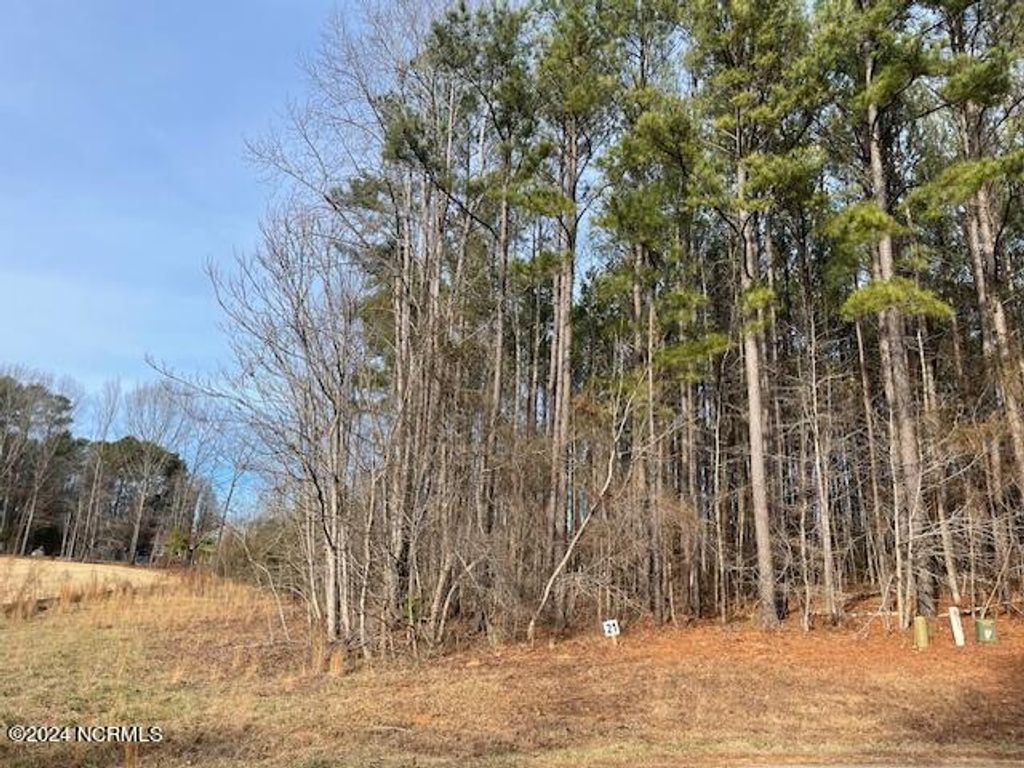 Photo of 3320 Oak Leaf Drive, Rocky Mount, NC 27804 (MLS # 100420460)