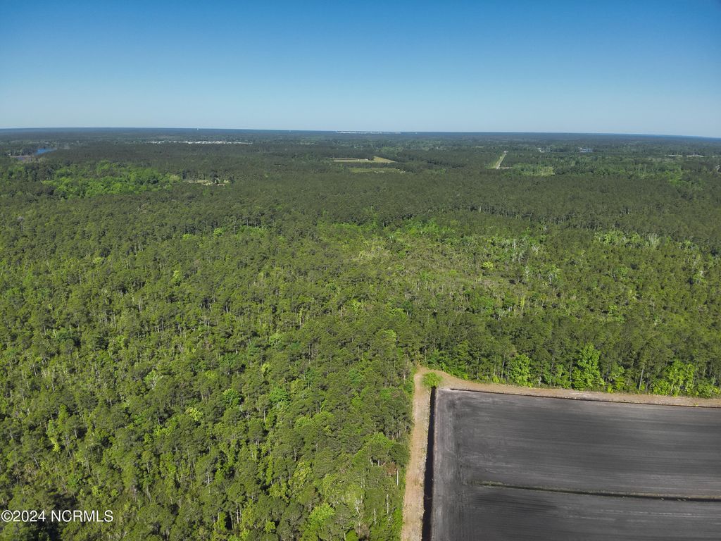 Photo of 0000 Adams Creek Road, Harlowe, NC 28570 (MLS # 100430402)