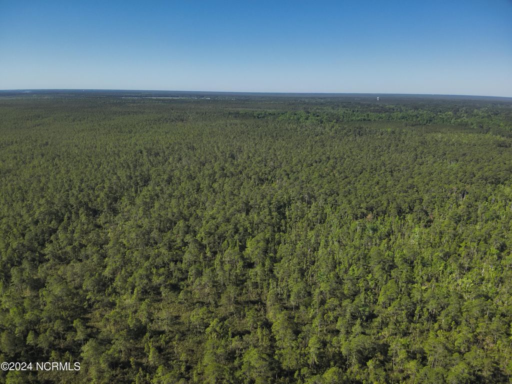 Photo of 0000 Adams Creek Road, Harlowe, NC 28570 (MLS # 100430402)