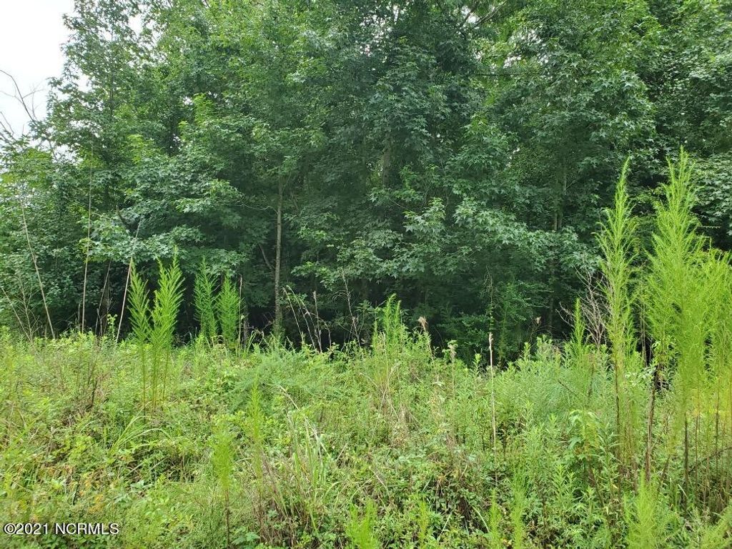 Photo for 000 Long Creek Loop Road, Rocky Point, NC 28457 (MLS # 100284933)